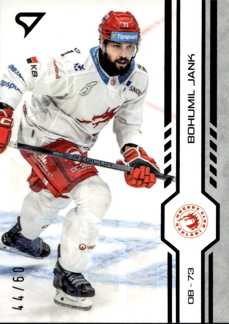 Purple Iceberg BOHUMIL JANK 24-25 SportZoo ELH Serie 1 /60