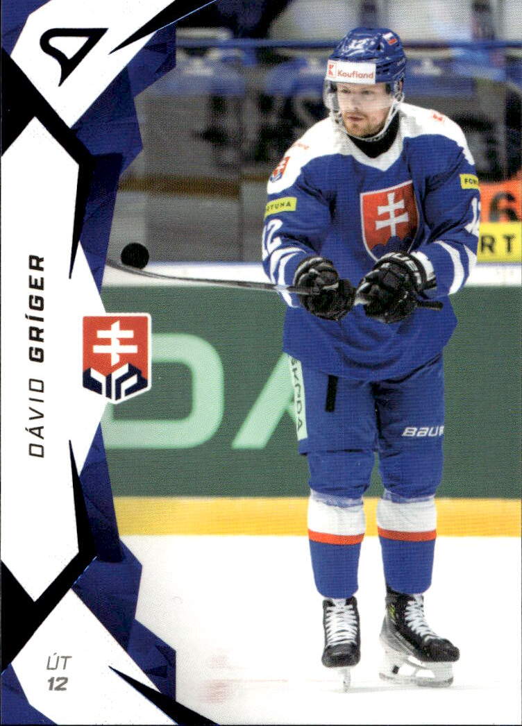 Blue DÁVID GRÍGER 2025 SportZoo Hokejové Slovensko