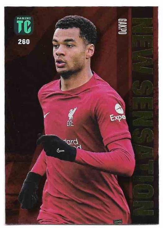 New Sensation CODY GAKPO 2023 Panini Top Class