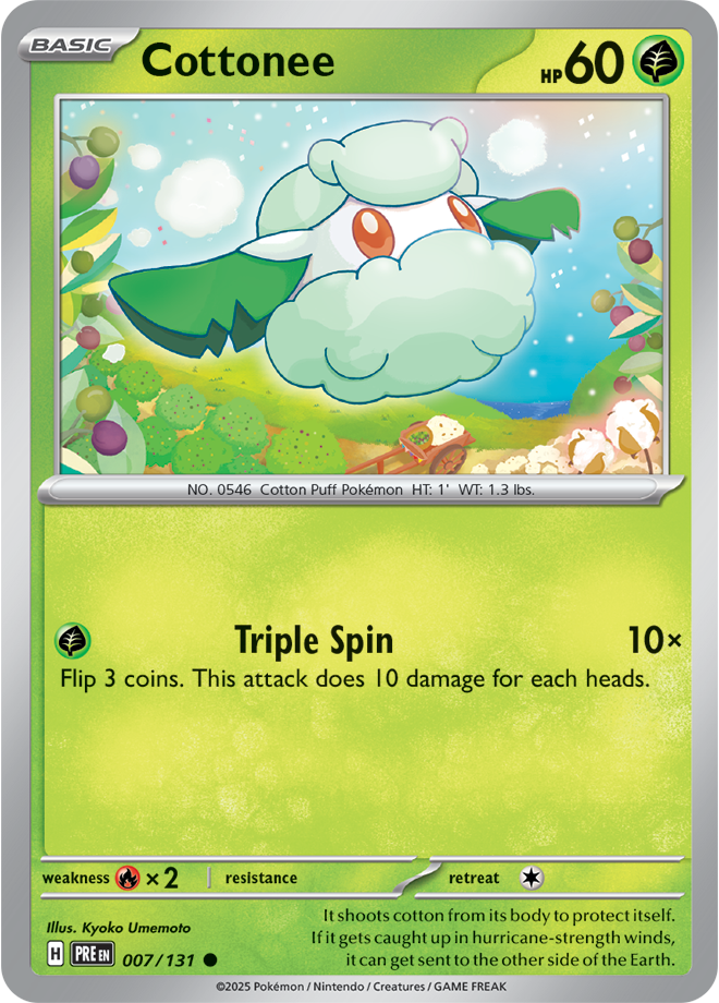 Holo - WHIMSICOTT