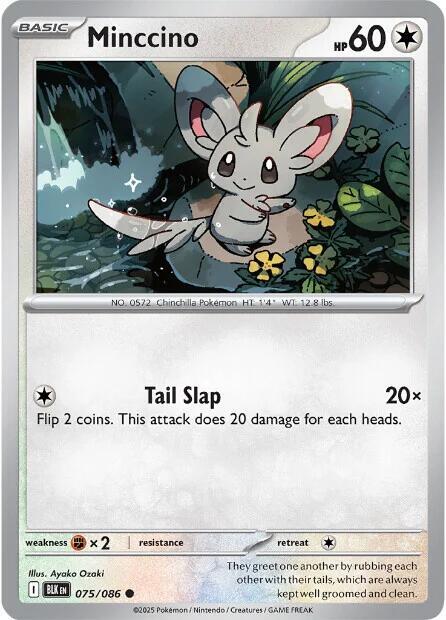 Reverse Holo - MINCCINO