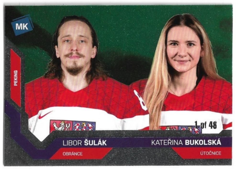Universe Level 2 LIBOR ŠULÁK/KATEŘINA BUKOLSKÁ 2022 Moje Kartičky /46