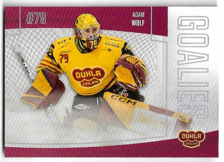 Goalies ADAM WOLF 22-23 GOAL Cards Chance liga 2.série