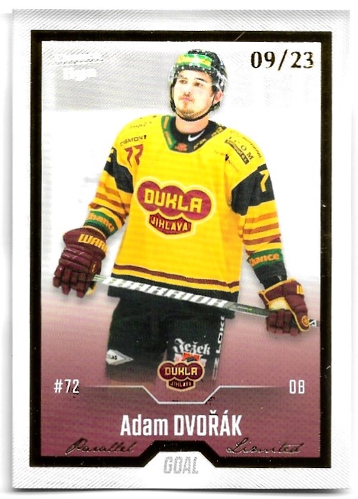 Gold ADAM DVOŘÁK 22-23 GOAL Cards Chance liga 2.série /23