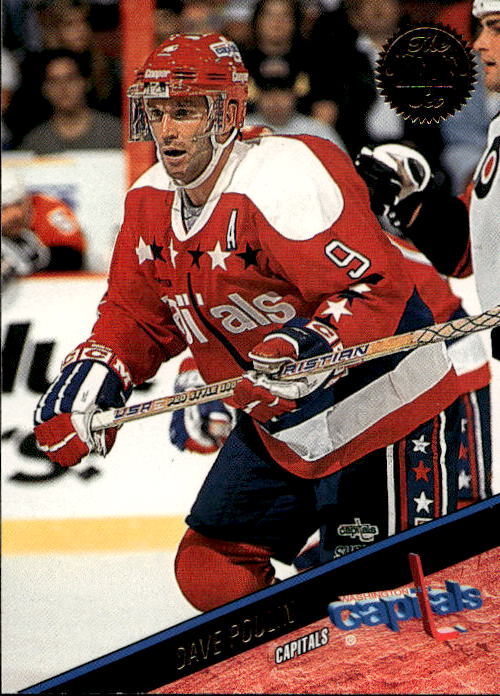 DAVE POULIN 93-94 Leaf