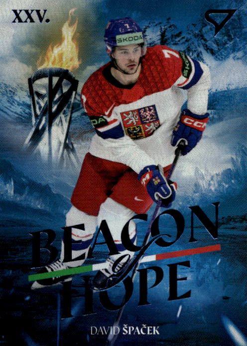 Beacon of Hope DAVID ŠPAČEK 2026 SportZoo Hokejové Česko