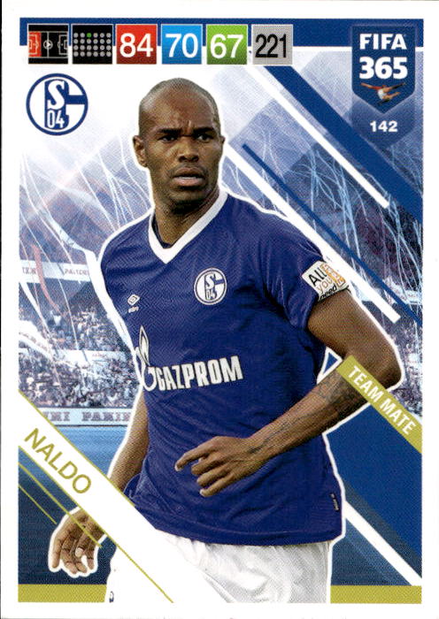 NALDO 18-19 Panini FIFA 365