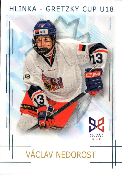 VÁCLAV NEDOROST 25-26 Real Cards Český Hokej Series 1