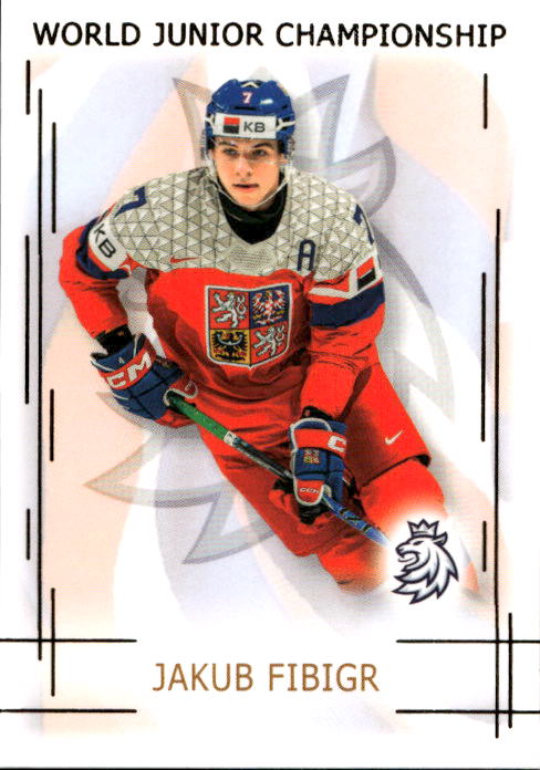 Gold JAKUB FIBIGR 25-26 Real Cards Český Hokej Series 1 /50