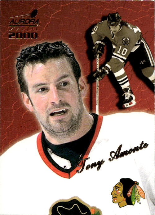 TONY AMONTE 99-00 Pacific Aurora (lehce světlé růžky)