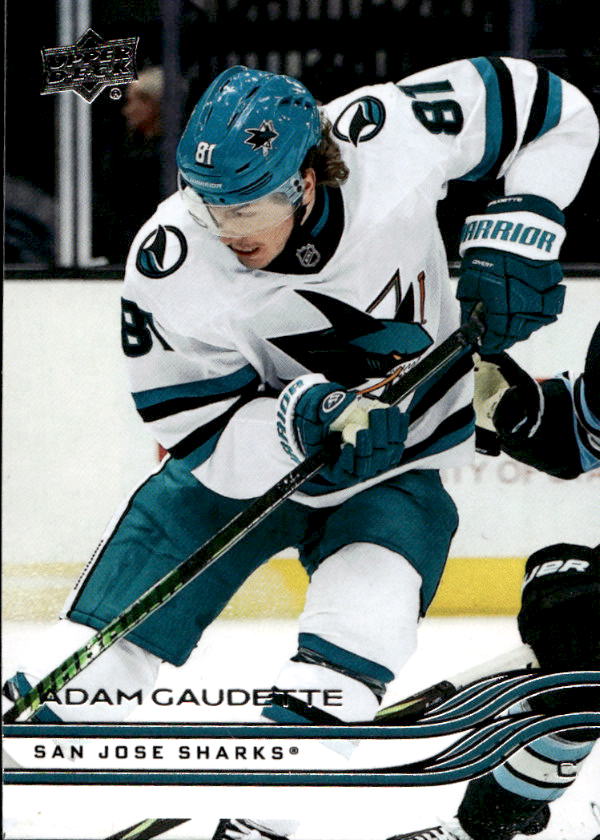 ADAM GAUDETTE 25-26 UD Extended Series
