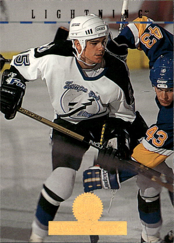 AARON GAVEY 94-95 Leaf