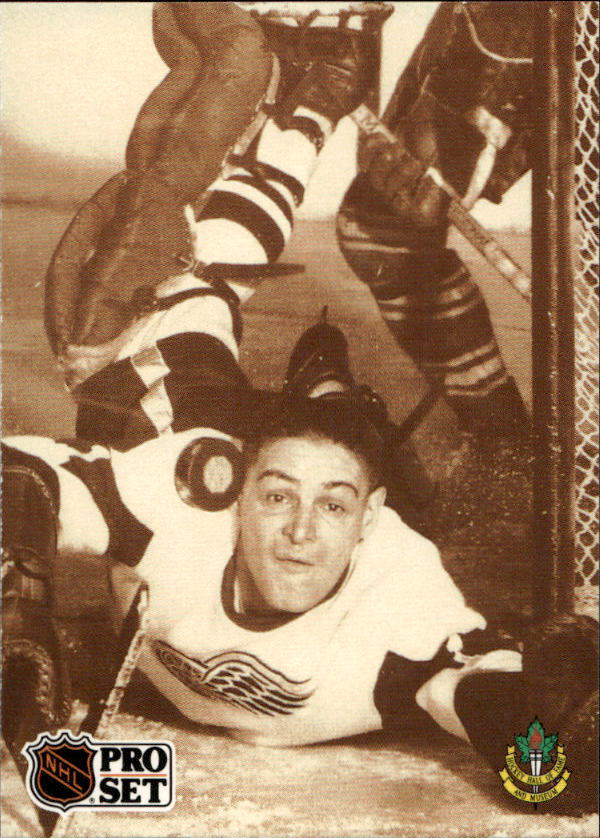 TERRY SAWCHUK 91-92 Pro Set