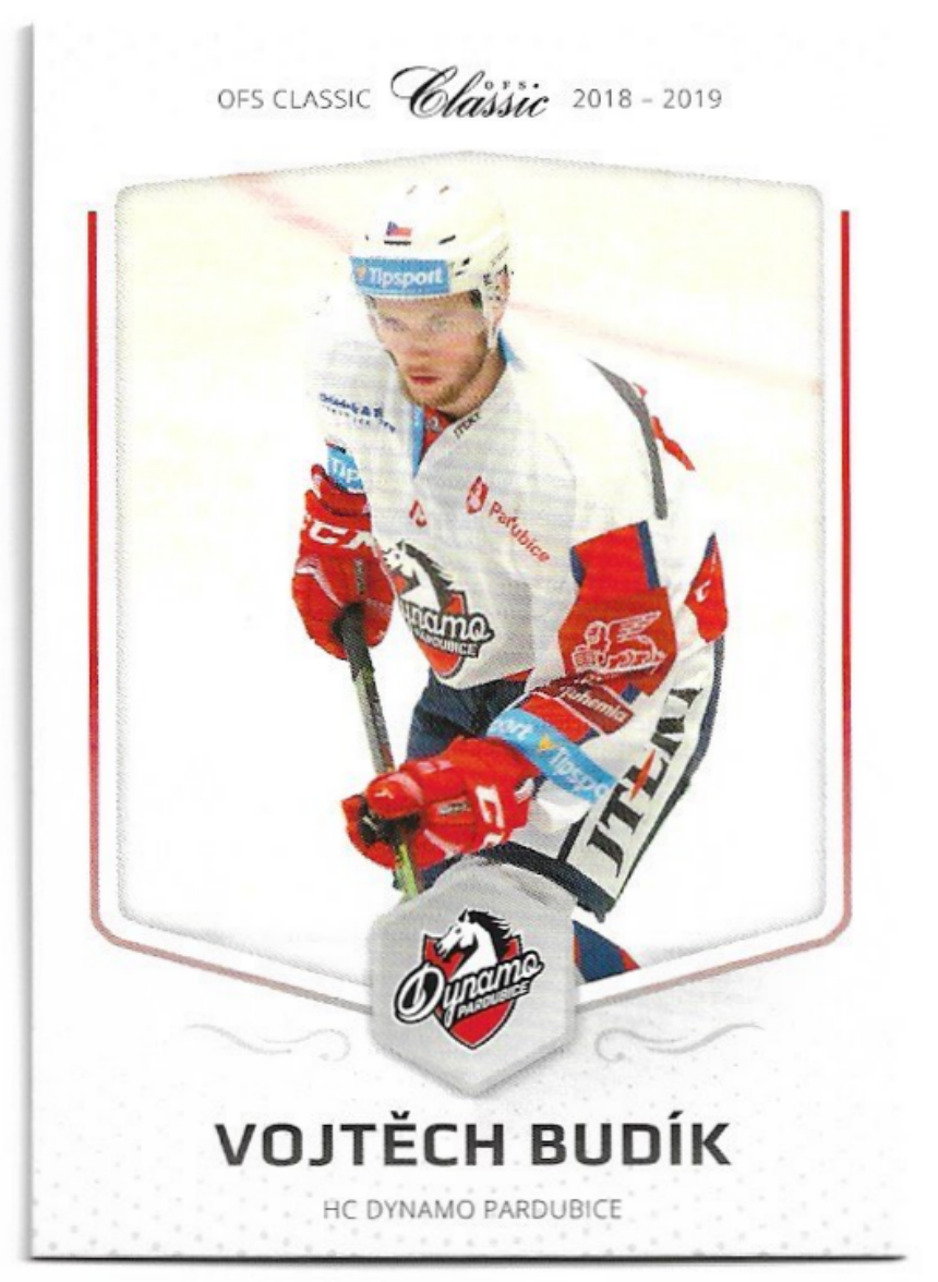 VOJTĚCH BUDÍK 18-19 OFS