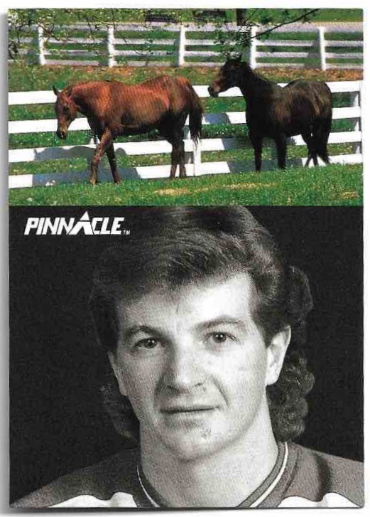 Pro Sideline AL MACINNIS 91-92 Pinnacle French