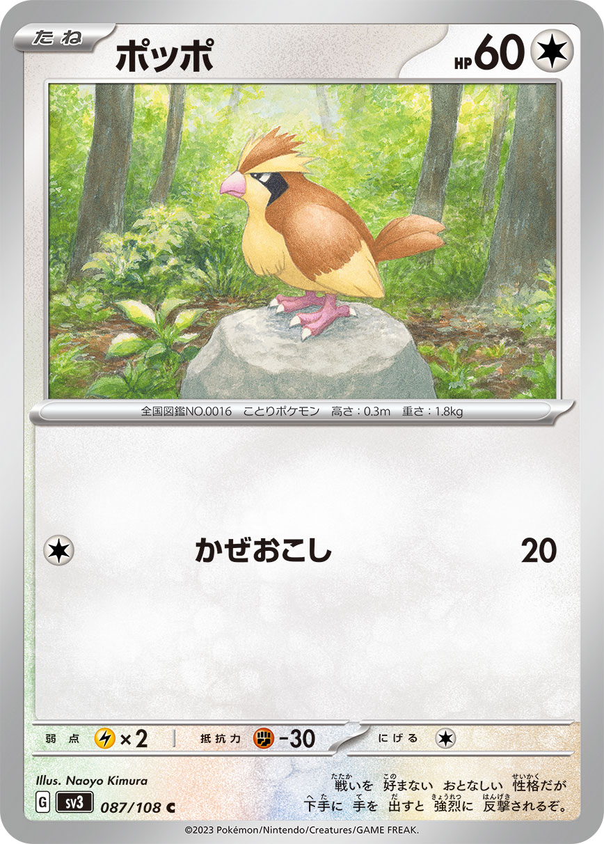 PIDGEY - Japonsky