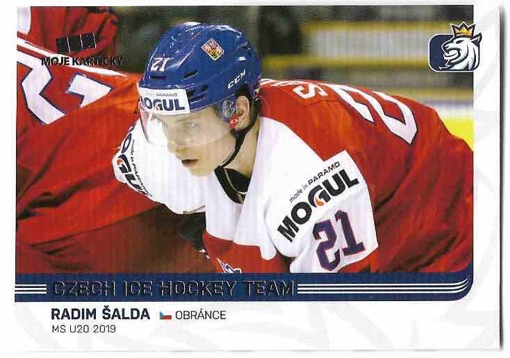 RADIM ŠALDA 18-19 MK Czech Ice Hockey Team