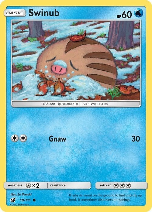 SWINUB