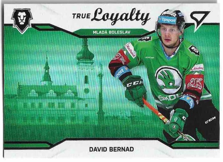 True Loyalty DAVID BERNAD 21-22 SportZoo ELH Serie 2