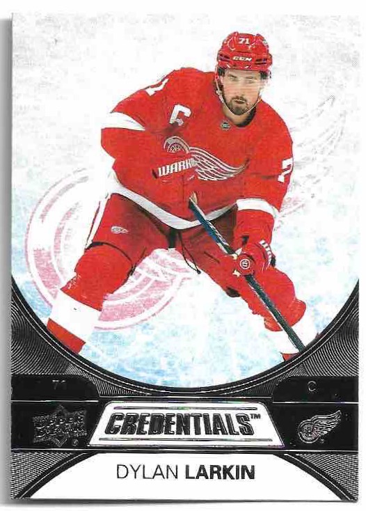 DYLAN LARKIN 21-22 UD Credentials