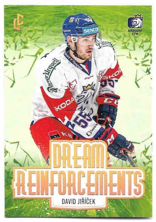 Dream Reinforcements DAVID JIŘÍČEK 23-24 Legendary Cards Expectations Road to Prague