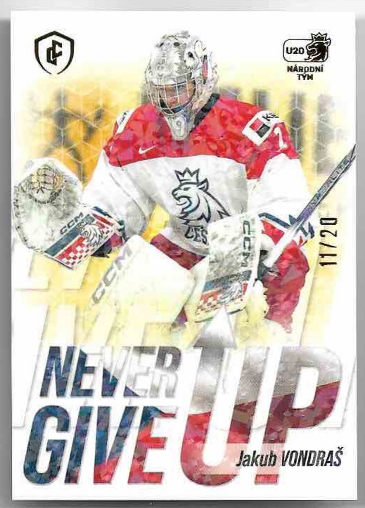 Jungle Never Give Up JAKUB VONDRAŠ 23-24 Legendary Cards Expectations Road to Prague /20