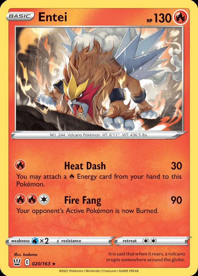 Holo - ENTIE