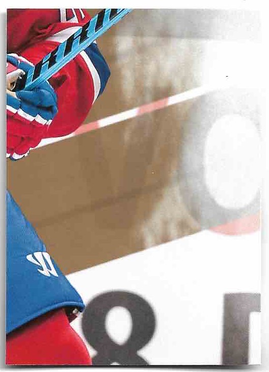 Puzzle Back MAX PACIORETTY/COREY PERRY 17-18 UD MVP