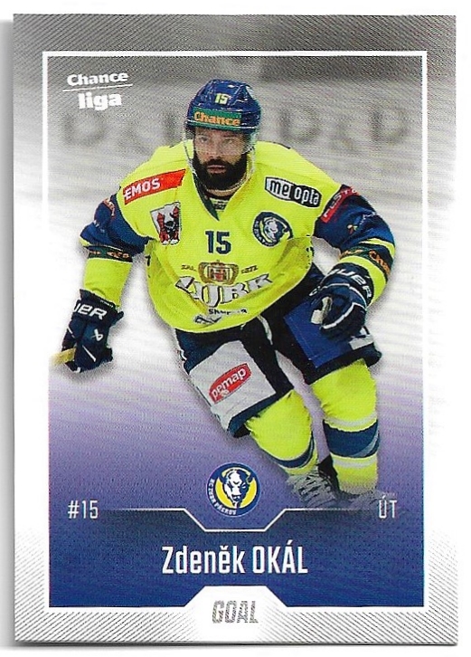 ZDENĚK OKÁL 22-23 GOAL Cards Chance liga 1.série