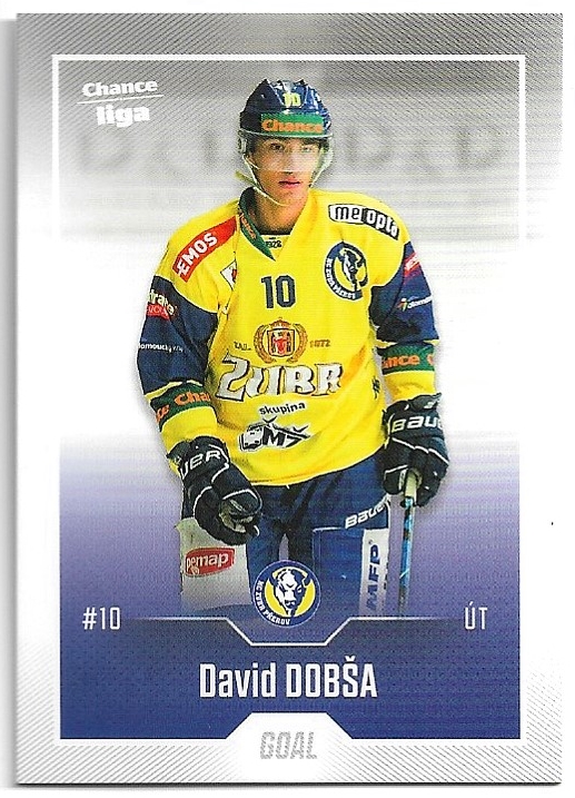 DAVID DOBŠA 22-23 GOAL Cards Chance liga 2.série