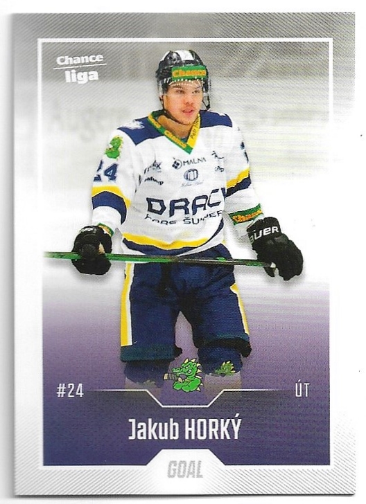 JAKUB HORKÝ 22-23 GOAL Cards Chance liga 2.série
