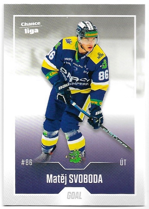 MATĚJ SVOBODA 22-23 GOAL Cards Chance liga 2.série