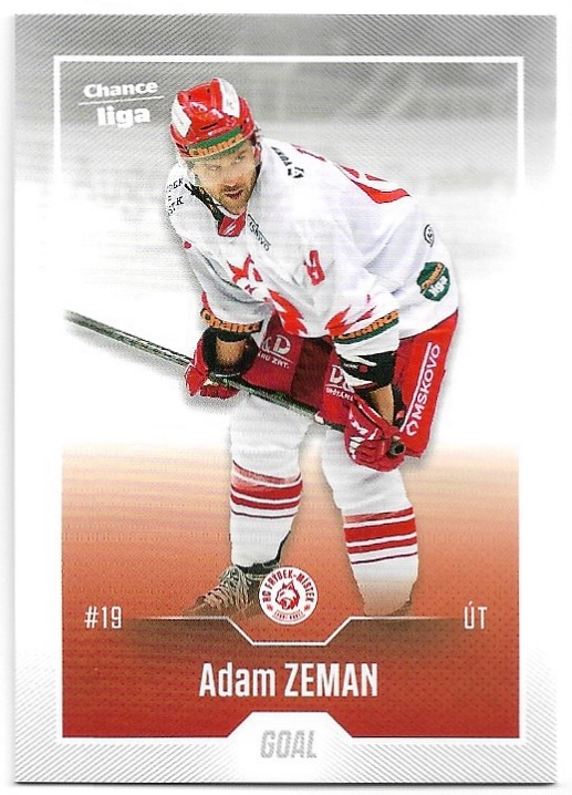 ADAM ZEMAN 22-23 GOAL Cards Chance liga 2.série