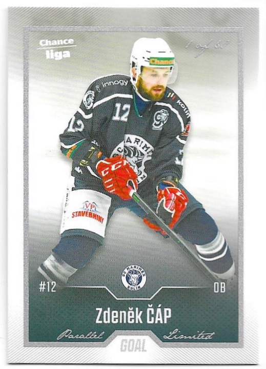 Silver ZDENĚK ČÁP 22-23 GOAL Cards Chance liga 2.série /60