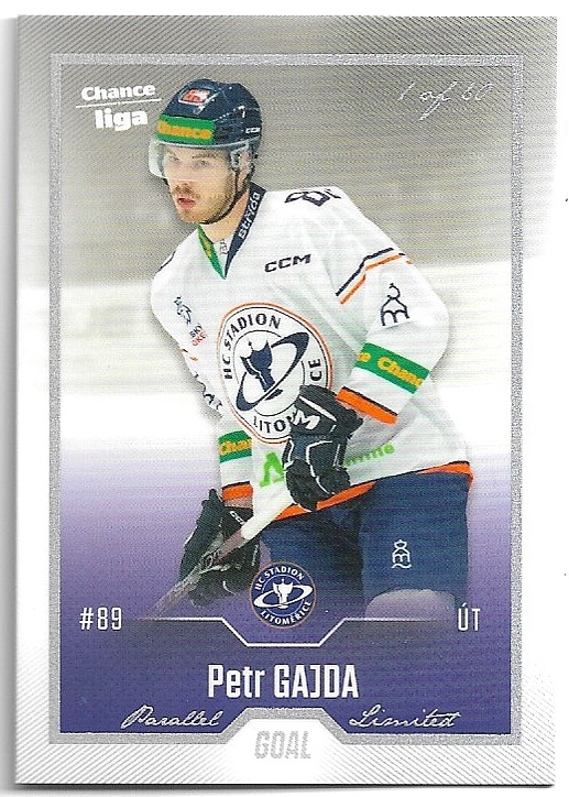 Silver PETR GAJDA 22-23 GOAL Cards Chance liga 2.série /60