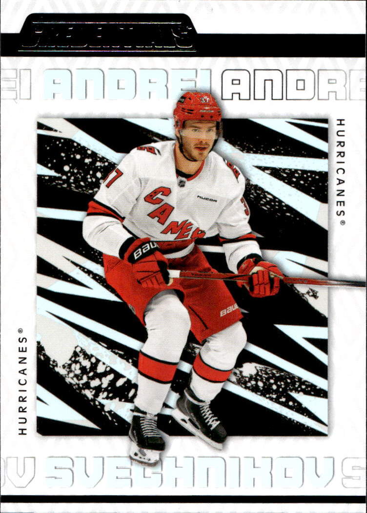 ANDREI SVECHNIKOV 23-24 UD Credentials