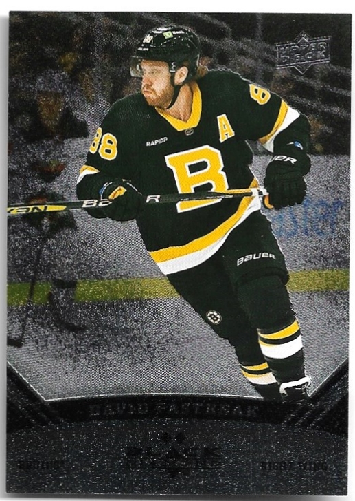 06-07 Black Diamond Retro DAVID PASTRŇÁK 22-23 UD Extended Series