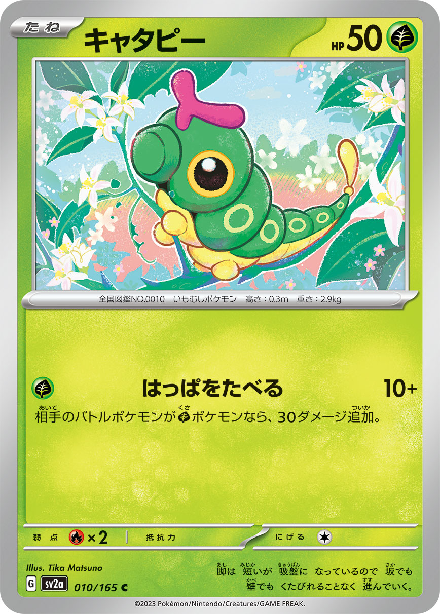 CATERPIE - Japonsky