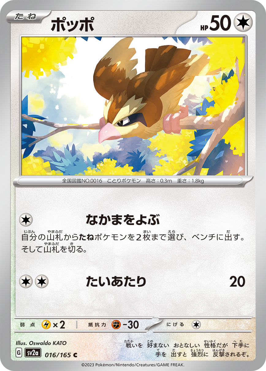 PIDGEY - Japonsky