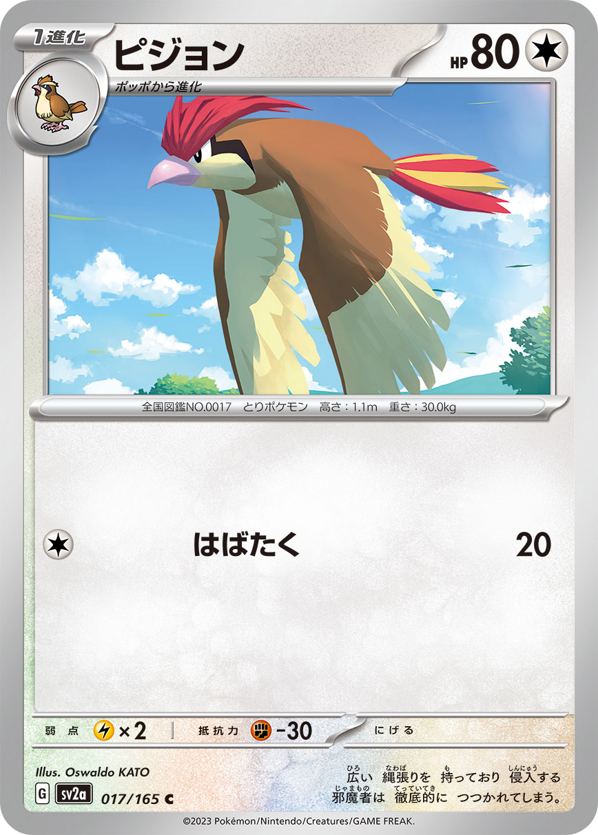 PIDGEOTTO - Japonsky