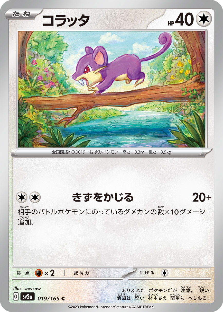 RATTATA - Japonsky