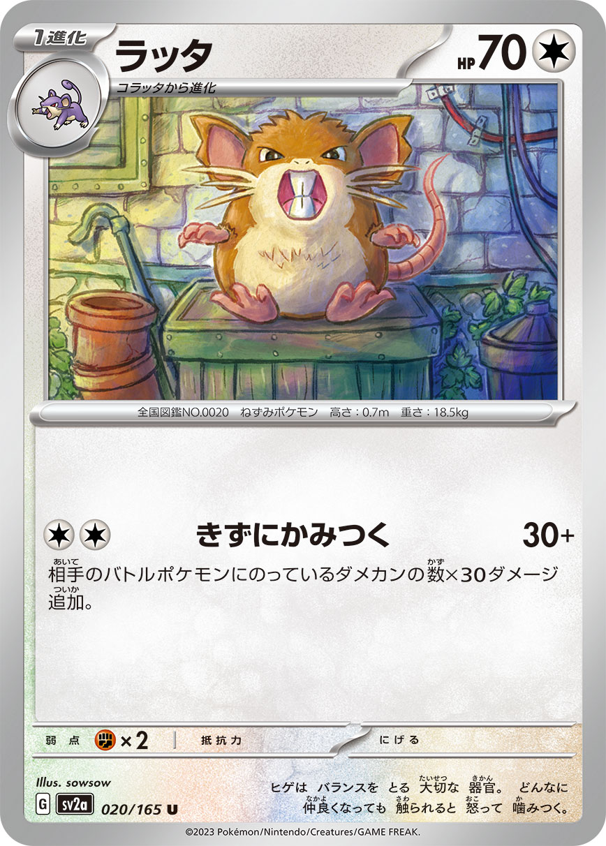 RATICATE - Japonsky