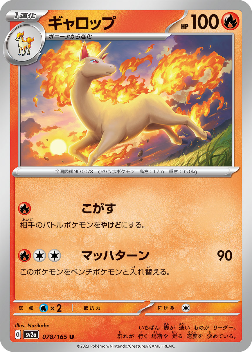 RAPIDASH - Japonsky