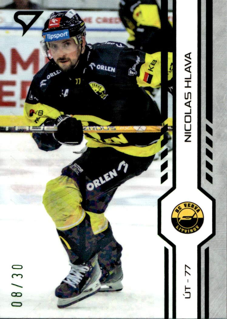 Green Glitter NICOLAS HLAVA 24-25 SportZoo ELH Serie 1 /30