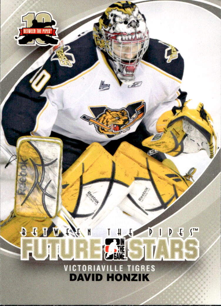 Future Stars DAVID HONZÍK 11-12 In the Game Between the Pipes