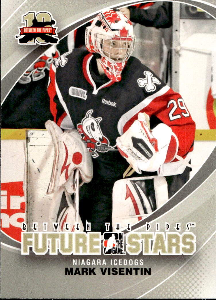 Future Stars MARK VISETIN 11-12 In the Game Between the Pipes