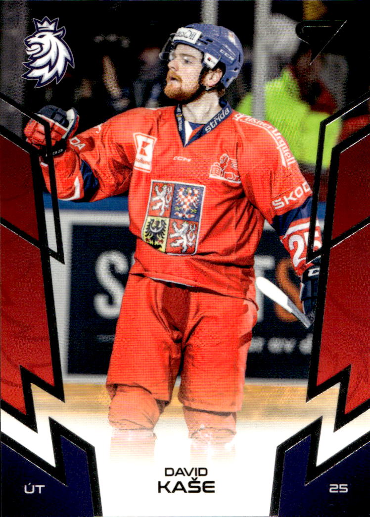 DAVID KAŠE 2024 SportZoo Hokejové Česko