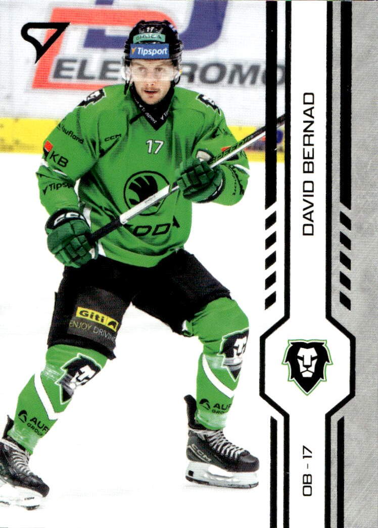DAVID BERNAD 24-25 SportZoo ELH Serie 2