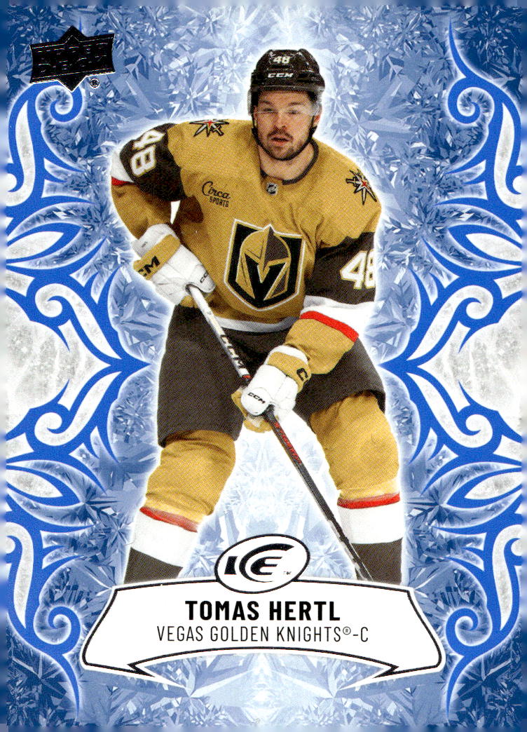 TOMÁŠ HERTL 24-25 UD Ice