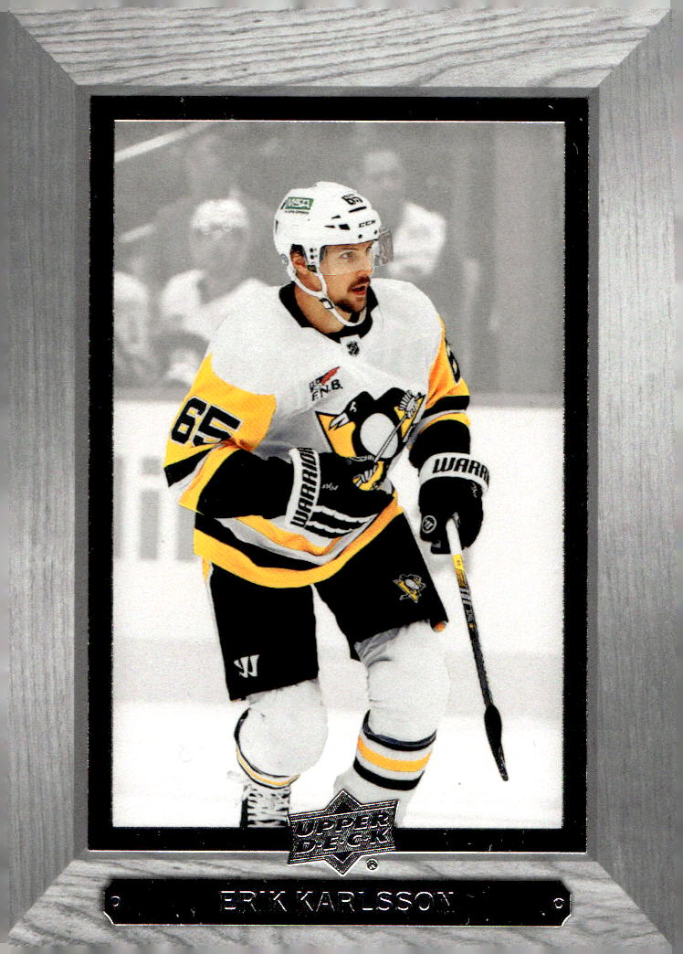 Bee Hive ERIK KARLSSON 23-24 UD Extended Series
